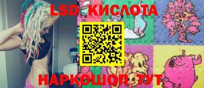 гашик Шелехов
