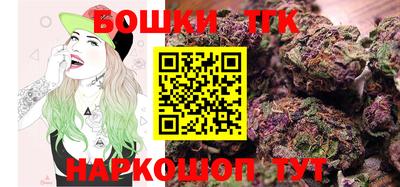 гашик Шелехов