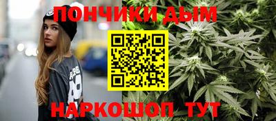 гашик Шелехов