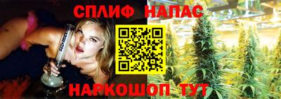 гашик Шелехов
