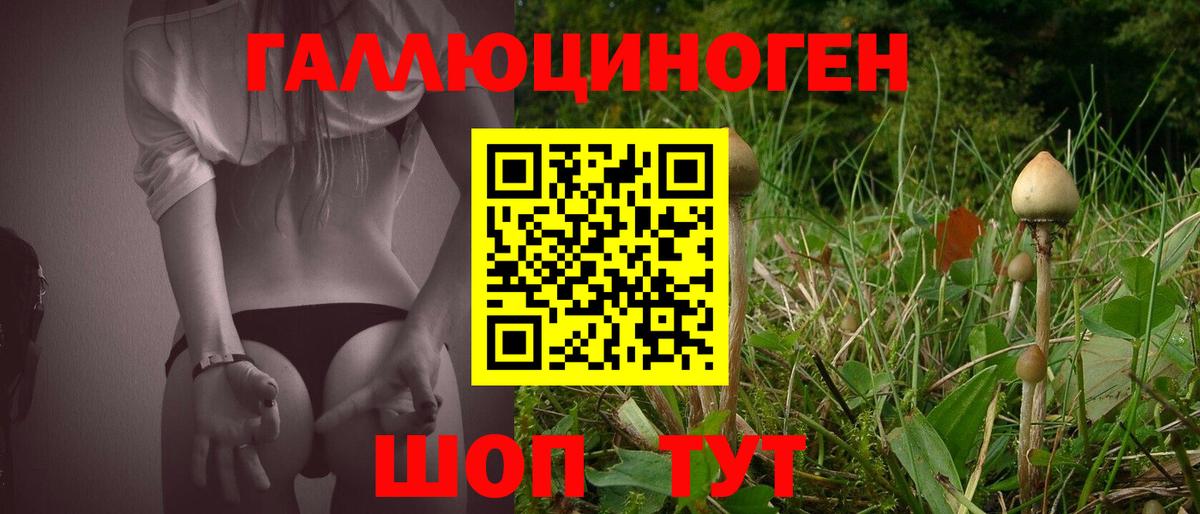 Псилоцибиновые грибы Cubensis Миасс